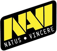 NaVi logo sm