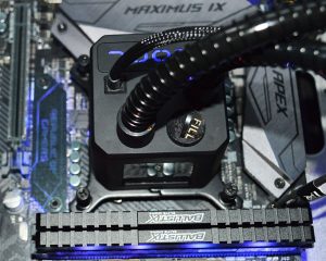 AC_Eisbaer_pht21-300x240.jpg