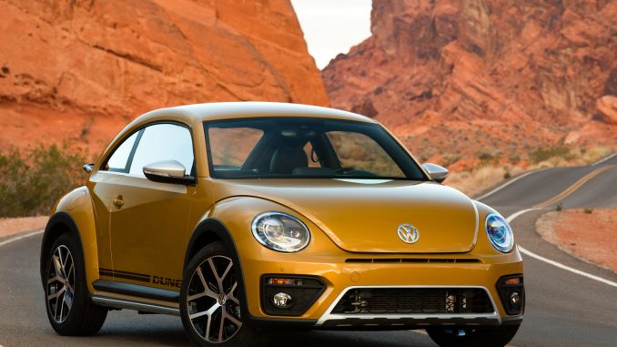 beetle
